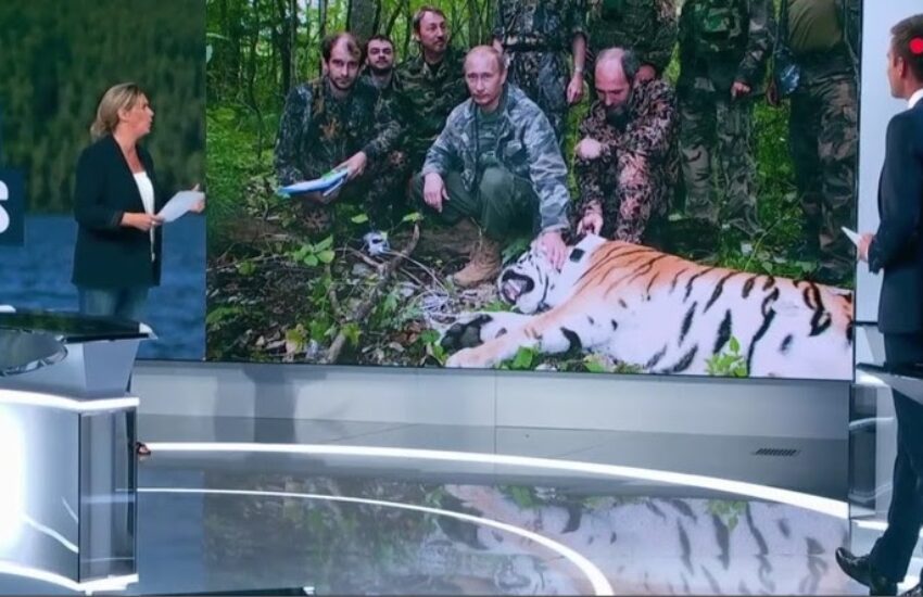 Quand France 2 accuse à tort Vladimir Poutine de chasser le tigre (VIDEO)