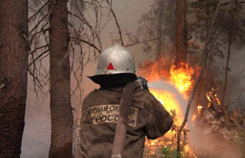 Accusations saugrenues et absurdes On n’éteint pas les feux de forêt en Russie ?